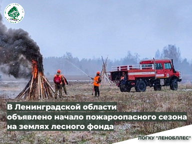 В Ленинградской области объявлено начало пожароопасного сезона 2024 года