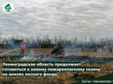 В Ленинградской области продолжается подготовка к новому пожароопасному сезону на землях лесного фонда