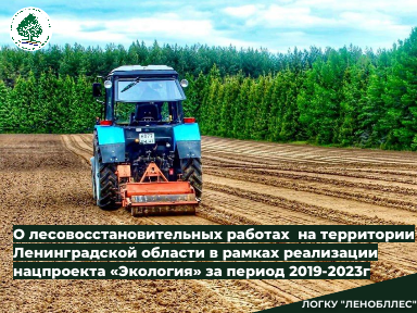 О лесовосстановительных работах на территории Ленобласти  за пять лет реализации нацпроекта «Экология»