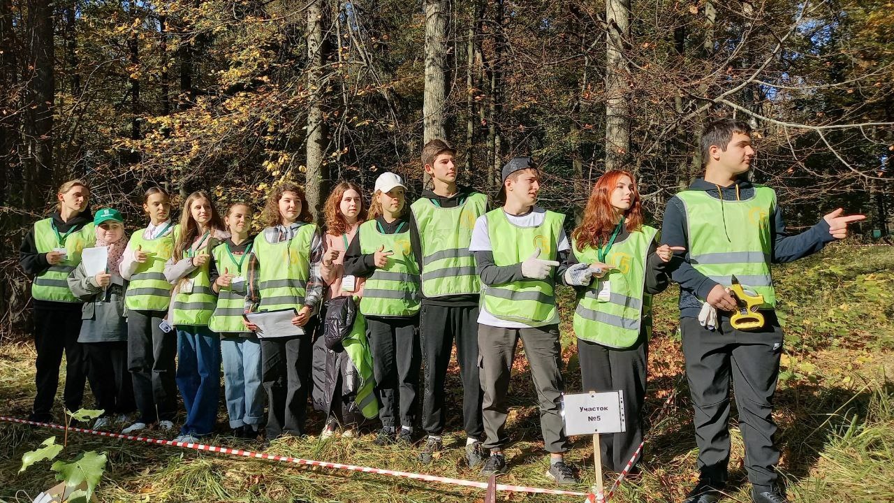 Школьное лесничество Ленинградской области одно из лучших в России! |  11.10.2023 | ЛенОбласть - БезФормата