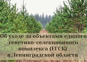 Об уходе за объектами единого генетико-селекционного комплекса (ЕГСК) в Ленинградской области