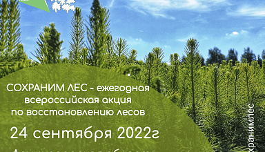 Всероссийская акция «Сохраним лес» в Ленинградской области