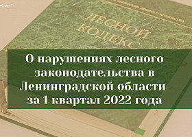 О нарушениях лесного законодательства в Ленинградской области  за 1 квартал 2022 года