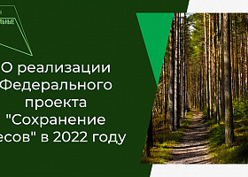 О закупке лесопожарной техники в 2022 году в рамках реализации Национального проекта «Экология» Федерального проекта «Сохранение лесов»