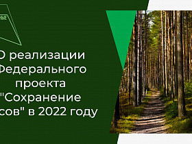 О закупке лесопожарной техники в 2022 году в рамках реализации Национального проекта «Экология» Федерального проекта «Сохранение лесов»