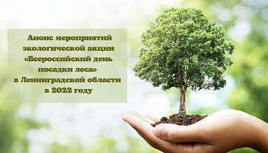 Анонс мероприятий экологической акции «Всероссийский день посадки леса» в Ленинградской области в 2022 году