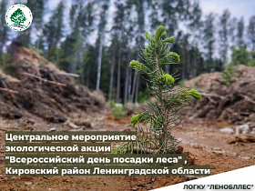 О проведении центрального мероприятия в Ленинградской области экологической акции «Всероссийского дня посадки леса»
