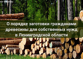 О порядке заготовки гражданами древесины для собственных нужд в Ленинградской области