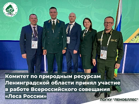 Комитет по природным ресурсам Ленинградской области принял участие в работе Всероссийского совещания «Леса России»