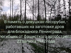 05.05.2023 года по инициативе Комитета по природным ресурсам Ленинградской области почтили память героев-лесозаготовителей и тружеников тыла.