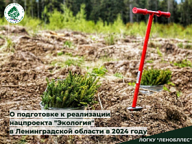 О подготовке к реализации нацпроекта «Экология»  в Ленинградской области в 2024 году