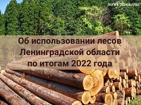 Об использовании лесов Ленинградской области по итогам 2022 года