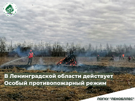 В Ленинградской области действует Особый противопожарный режим