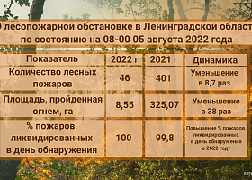 О лесопожарной обстановке в Ленинградской области  по состоянию на 08-00 05.08.2022 года