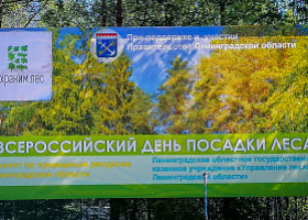 Всероссийский день посадки леса - 2022