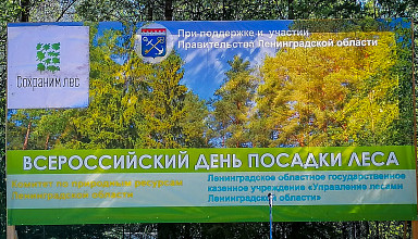 Всероссийский день посадки леса - 2022