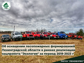 За пять лет реализации нацпроекта «Экология» обеспечена высокая пожарная безопасность в лесах Ленинградской области 