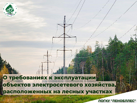 О требованиях к эксплуатации объектов электросетевого хозяйства, расположенных на лесных участках