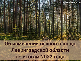 Об изменении лесного фонда Ленинградской области по итогам 2022 года