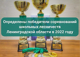 Определены победители соревнований школьных лесничеств Ленинградской области 2022