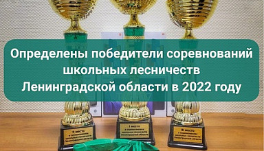 Определены победители соревнований школьных лесничеств Ленинградской области 2022