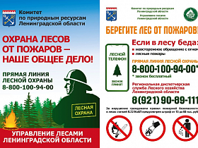 О начале пожароопасного сезона в Ленинградской области в 2023 году