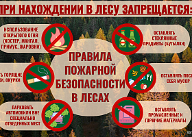 Правила пожарной безопасности в лесах