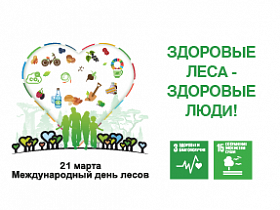21 марта Международный день лесов