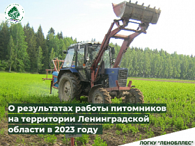 О результатах работы питомников на территории Ленинградской области в 2023 году