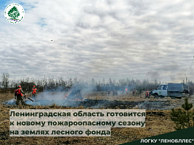 Ленинградская область готовится к новому пожароопасному сезону на землях лесного фонда