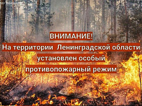 В Ленобласти установлен особый противопожарный режим