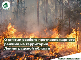 В Ленинградской области снят особый противопожарный режим